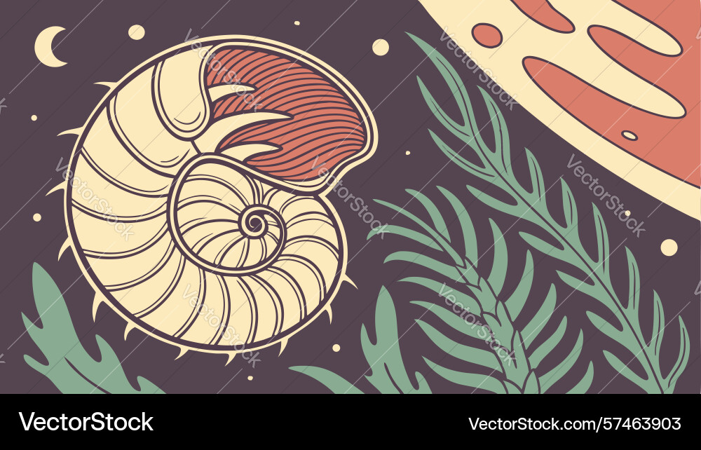 Nautilus shell with abstract foliage and spirals vector image