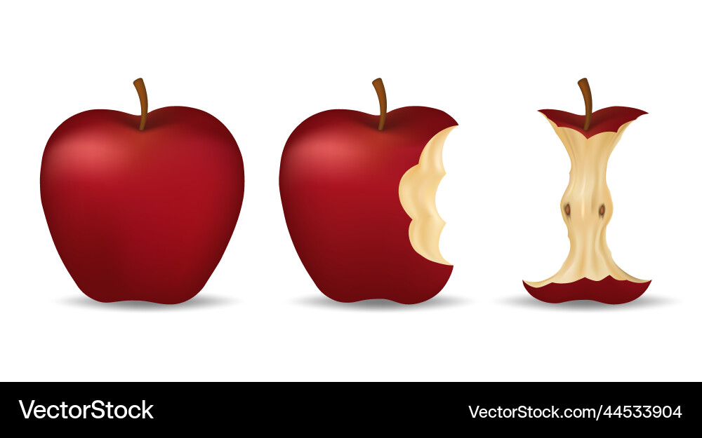 Bitten Red Apple with Core Vector Image
