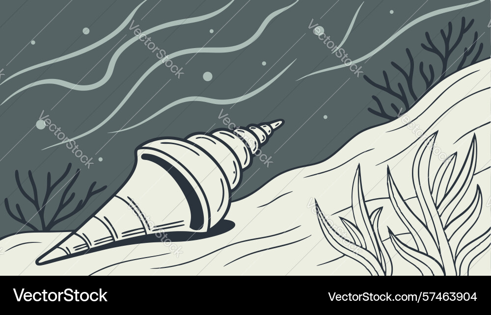 Conch shell on coastal path with seaweed design vector image