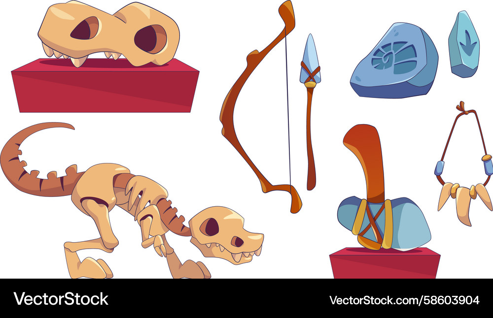 Paleolithic Artifacts & Fossil Collection Vector Image