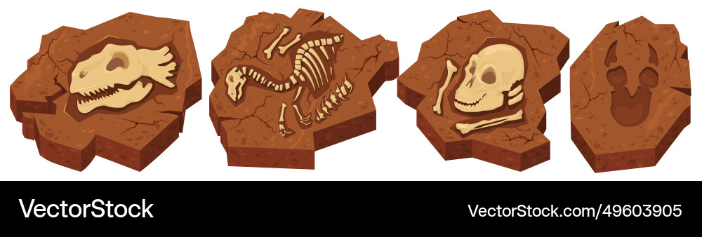 Archeological fossils in stone with different vector image