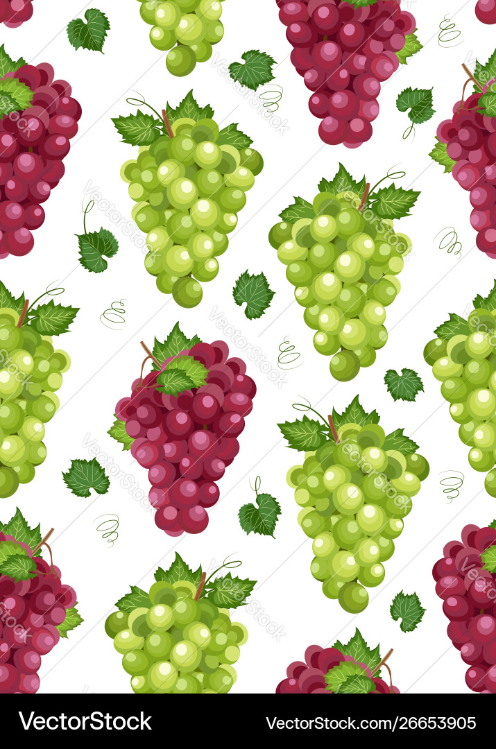 Grape Bunch Seamless Pattern vector image