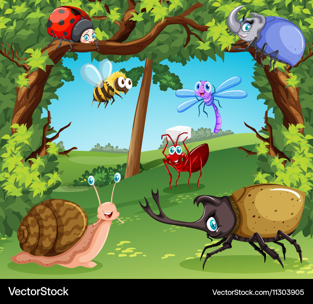 Many types of bugs in the forest vector image