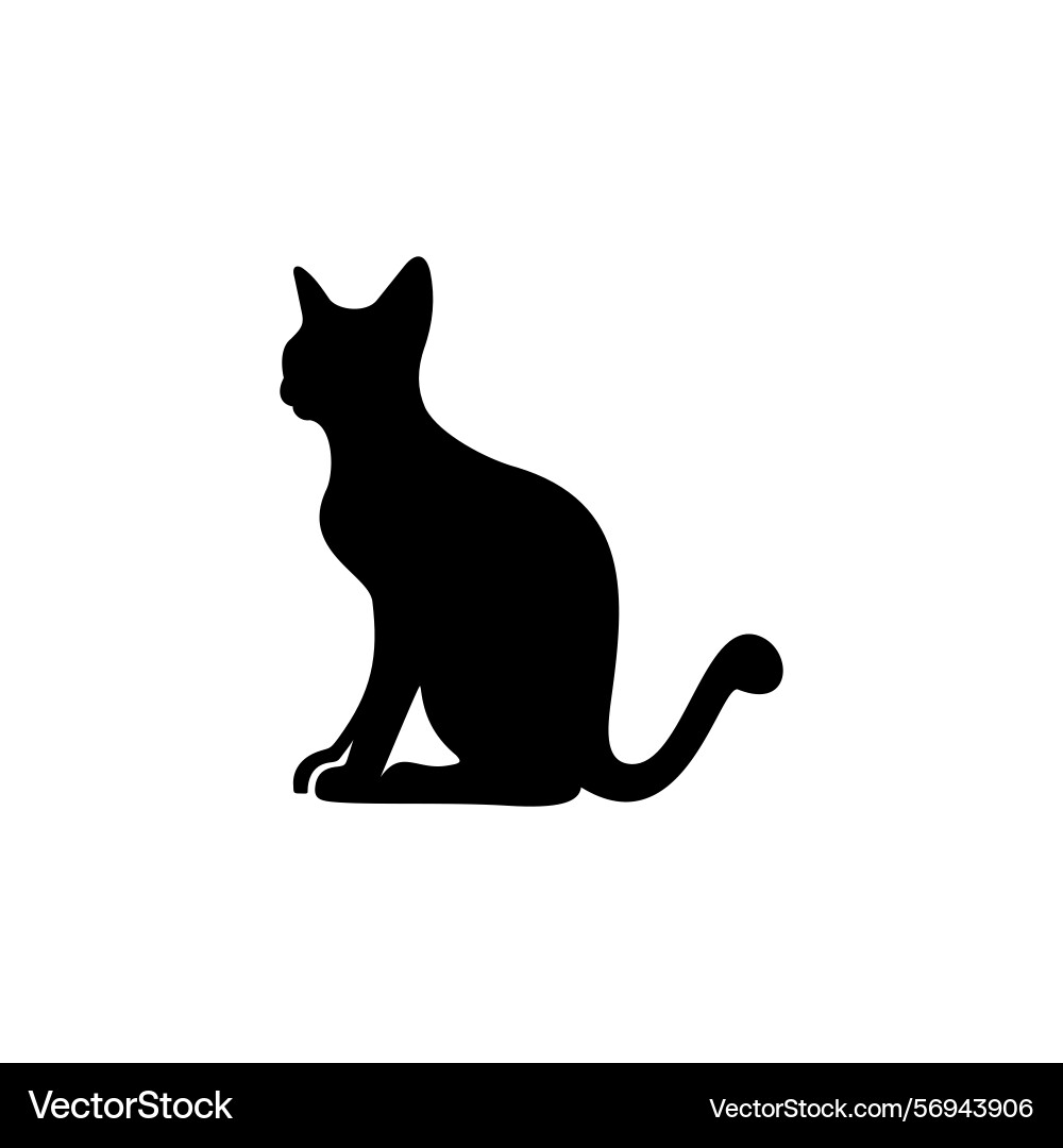 Cat Vector Image