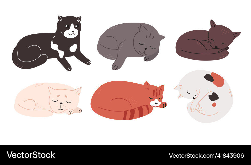 Multi-colored cats of different breeds lie resting Vector Image