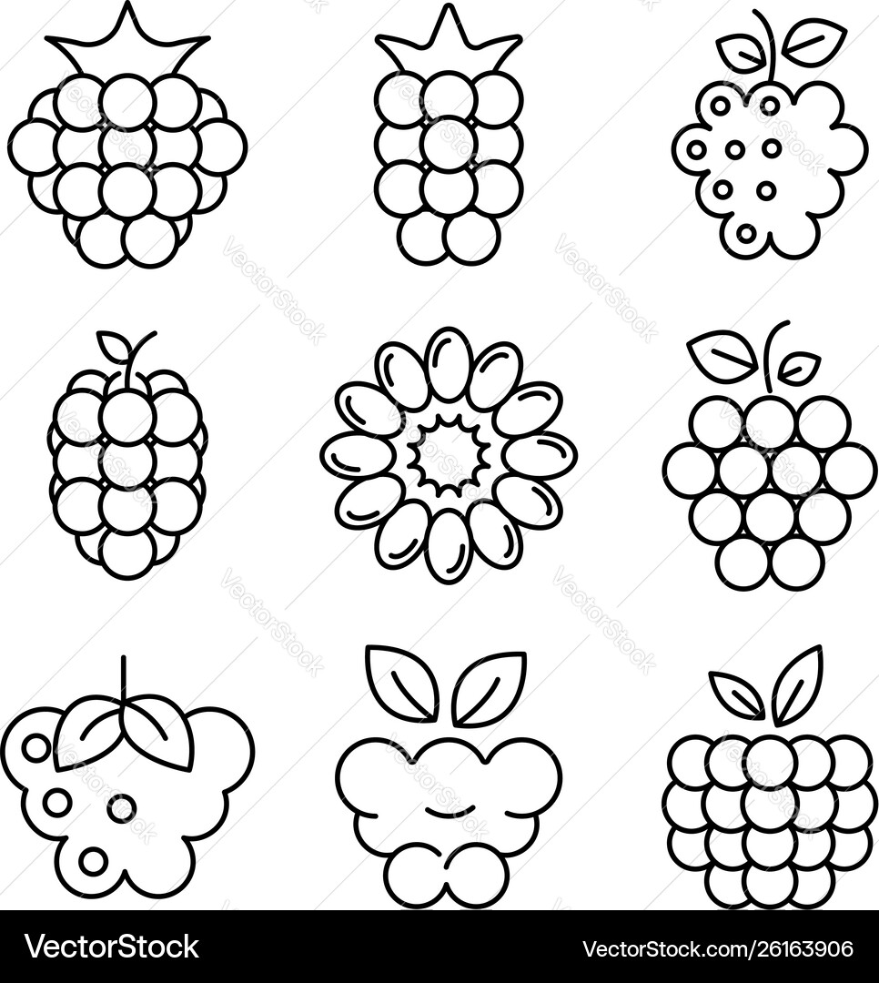 Raspberry icons set outline style Vector Image