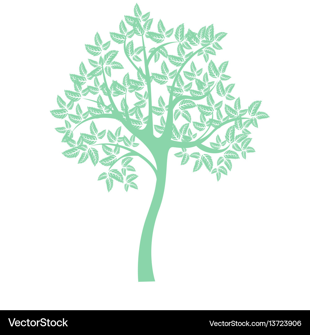 Tree Tree Vector Image