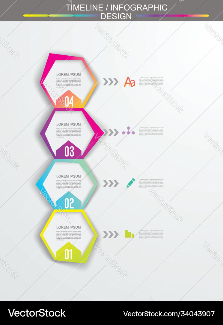 Minimal timeline or option line design vector image