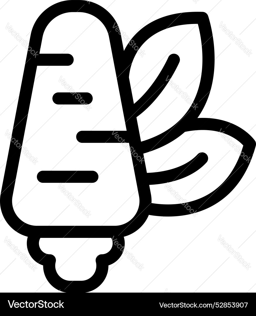 Parsnip root vegetable healthy food icon showing Parsnip root vegetable healthy food icon showing Vector Image