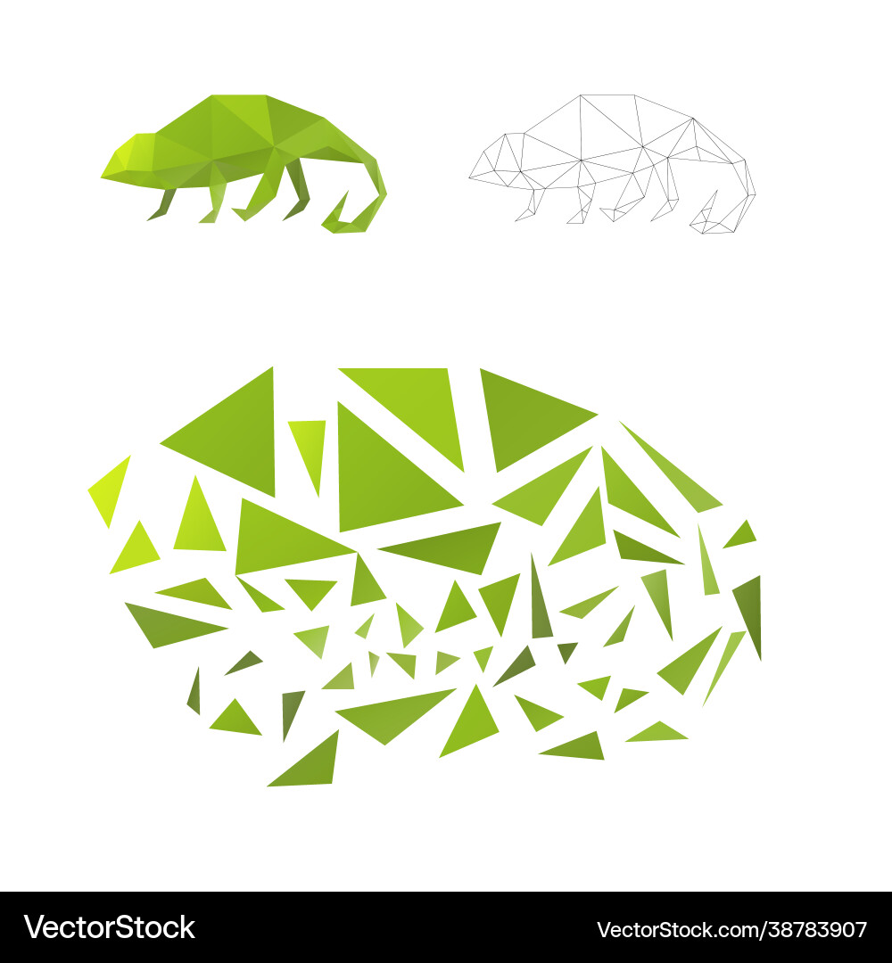 Triangular Puzzle with Chameleon vector image