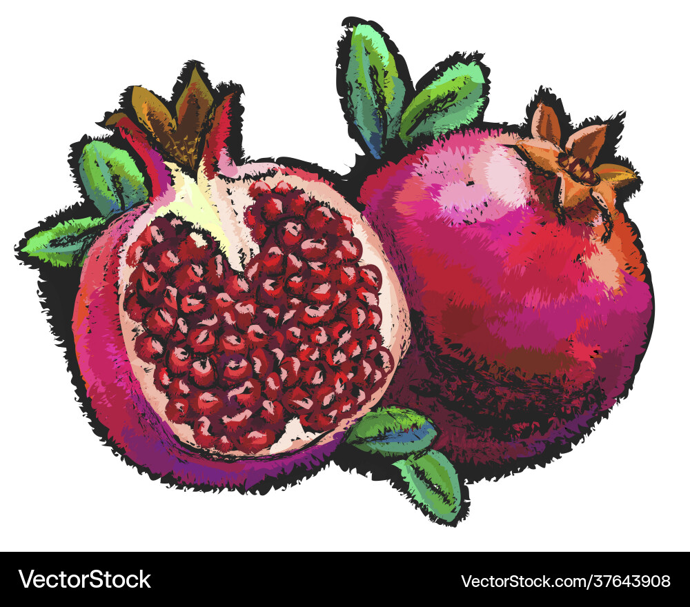 Pomegranate abstract multicolored image Pomegranate abstract multicolored image vector image