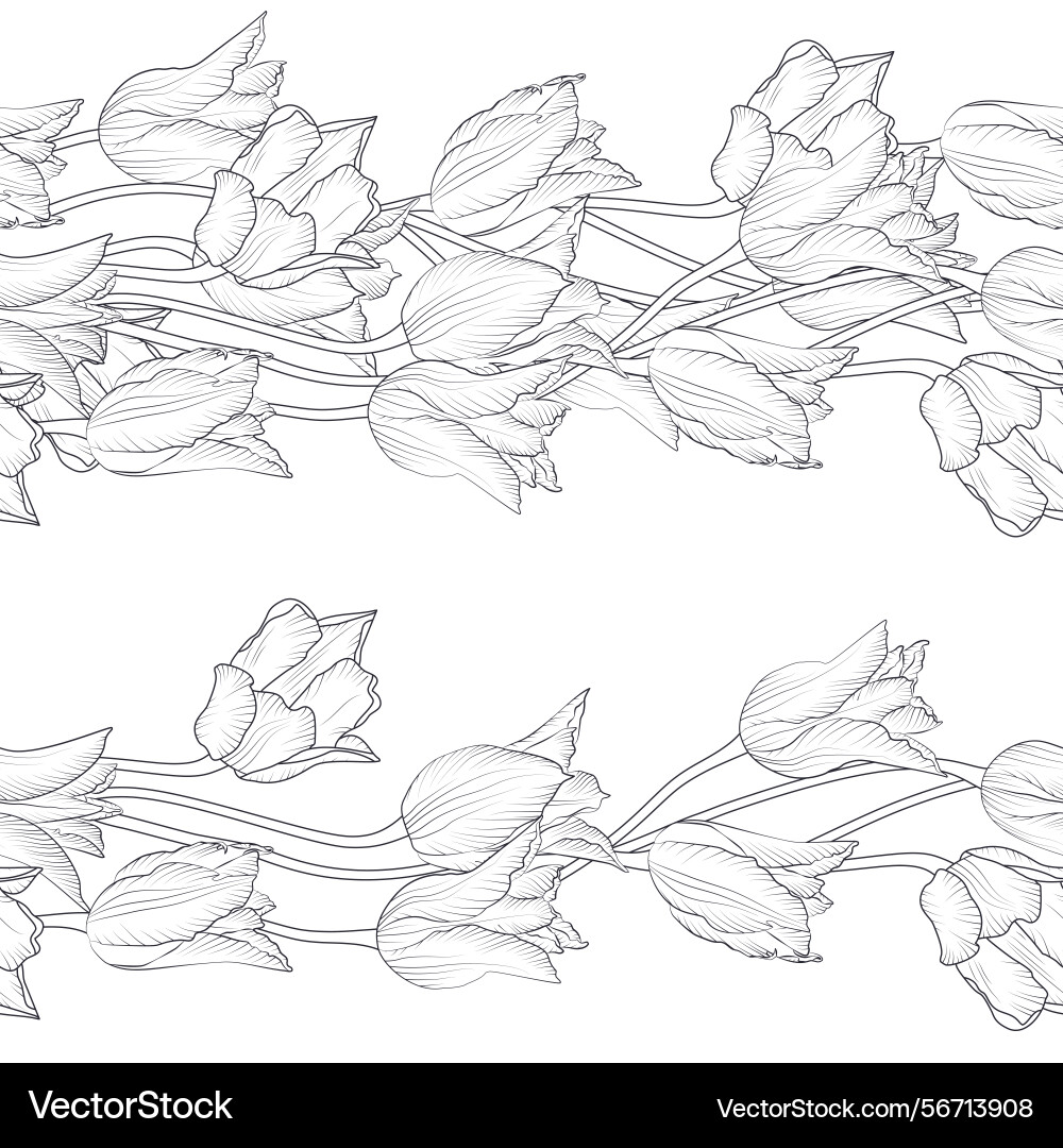 Stripe pattern with black and white linear tulips Vector Image