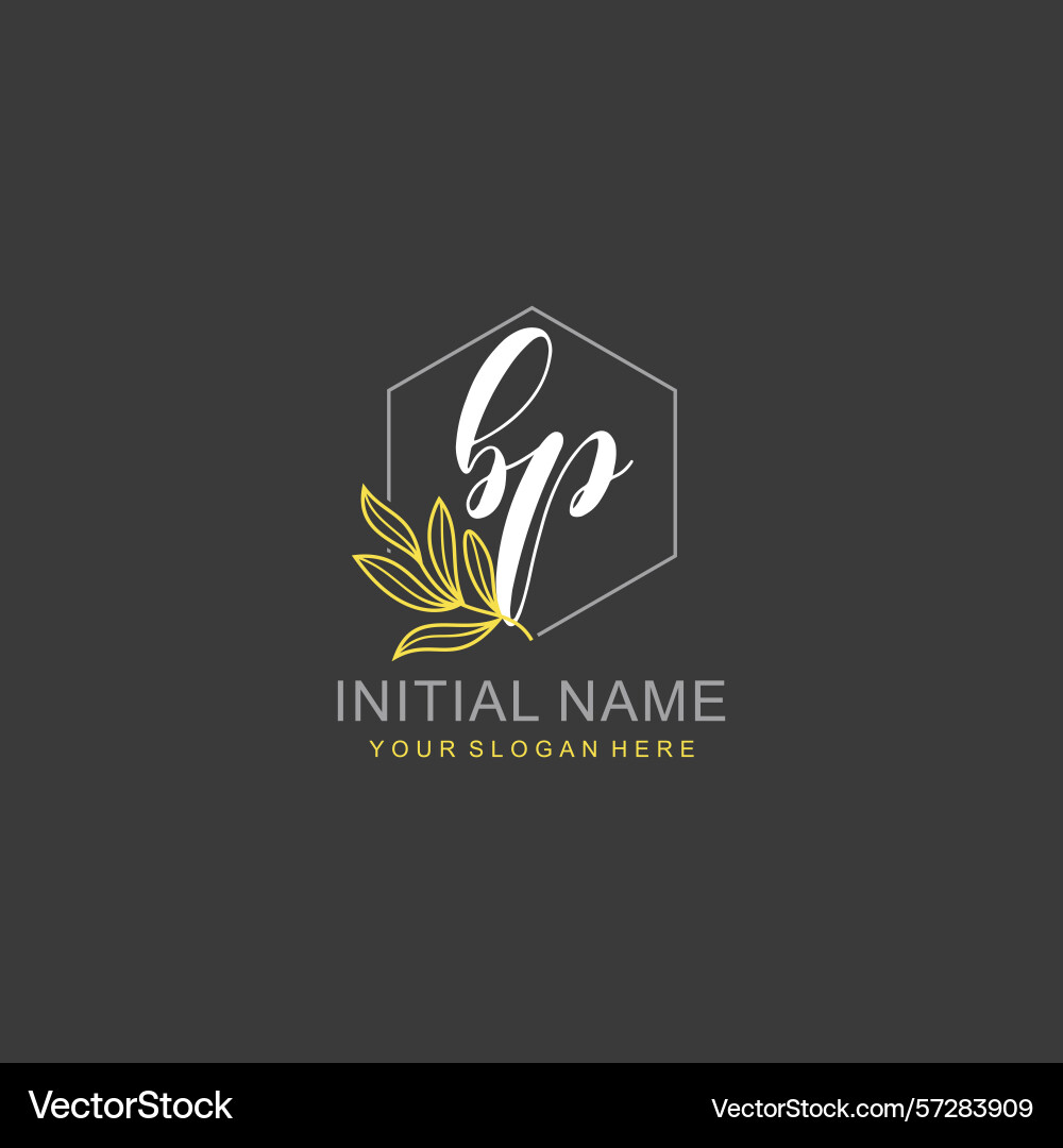 Bp initial logo templates with botanical elements vector image
