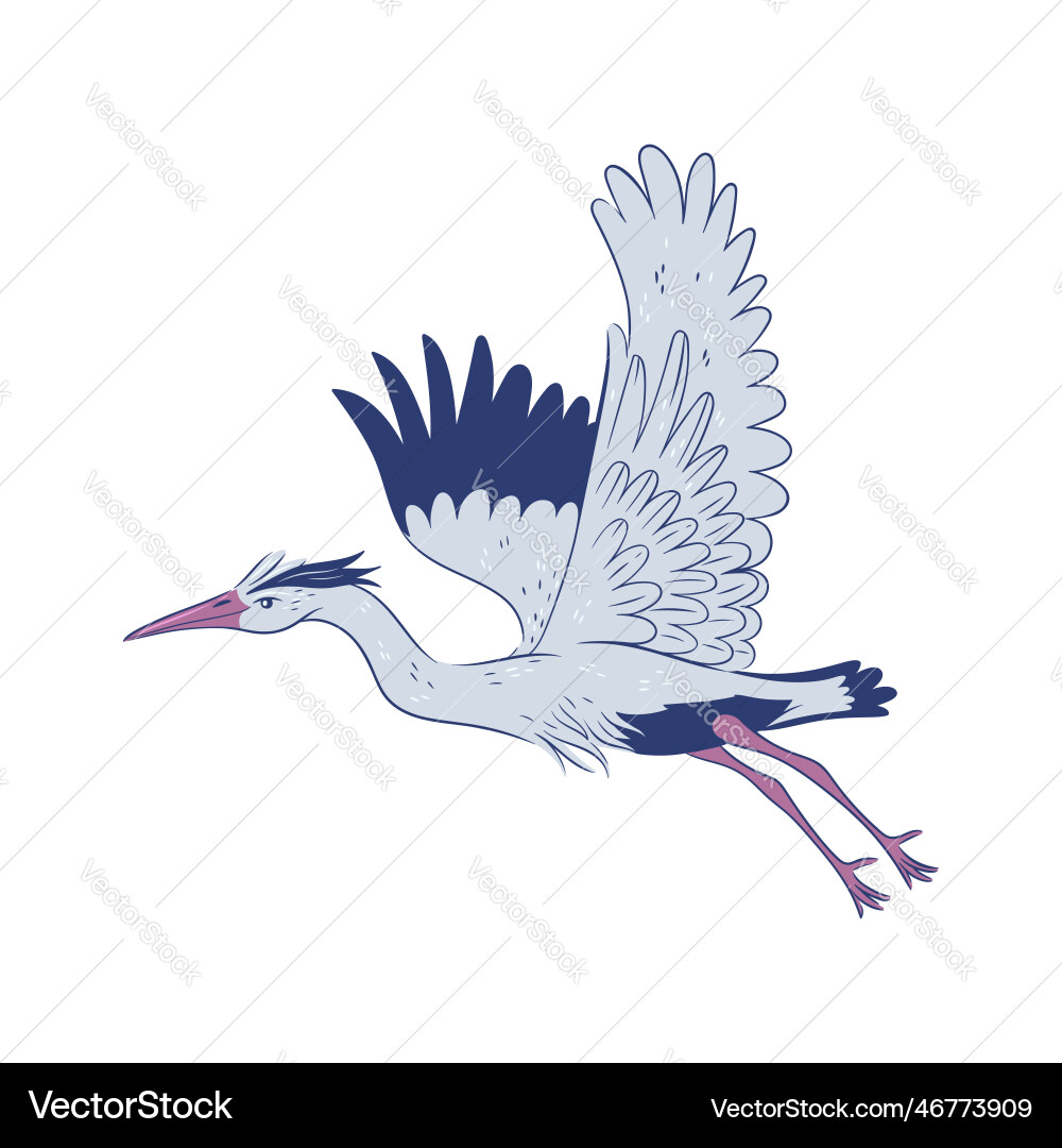 Heron in flight isolate on white background Vector Image