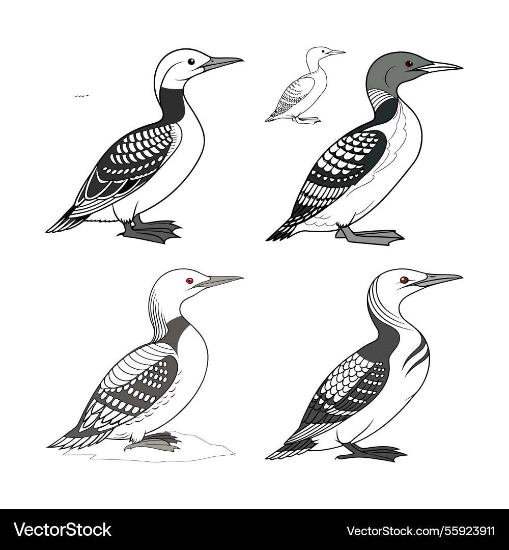 Ai-generated set of bird design Vector Image