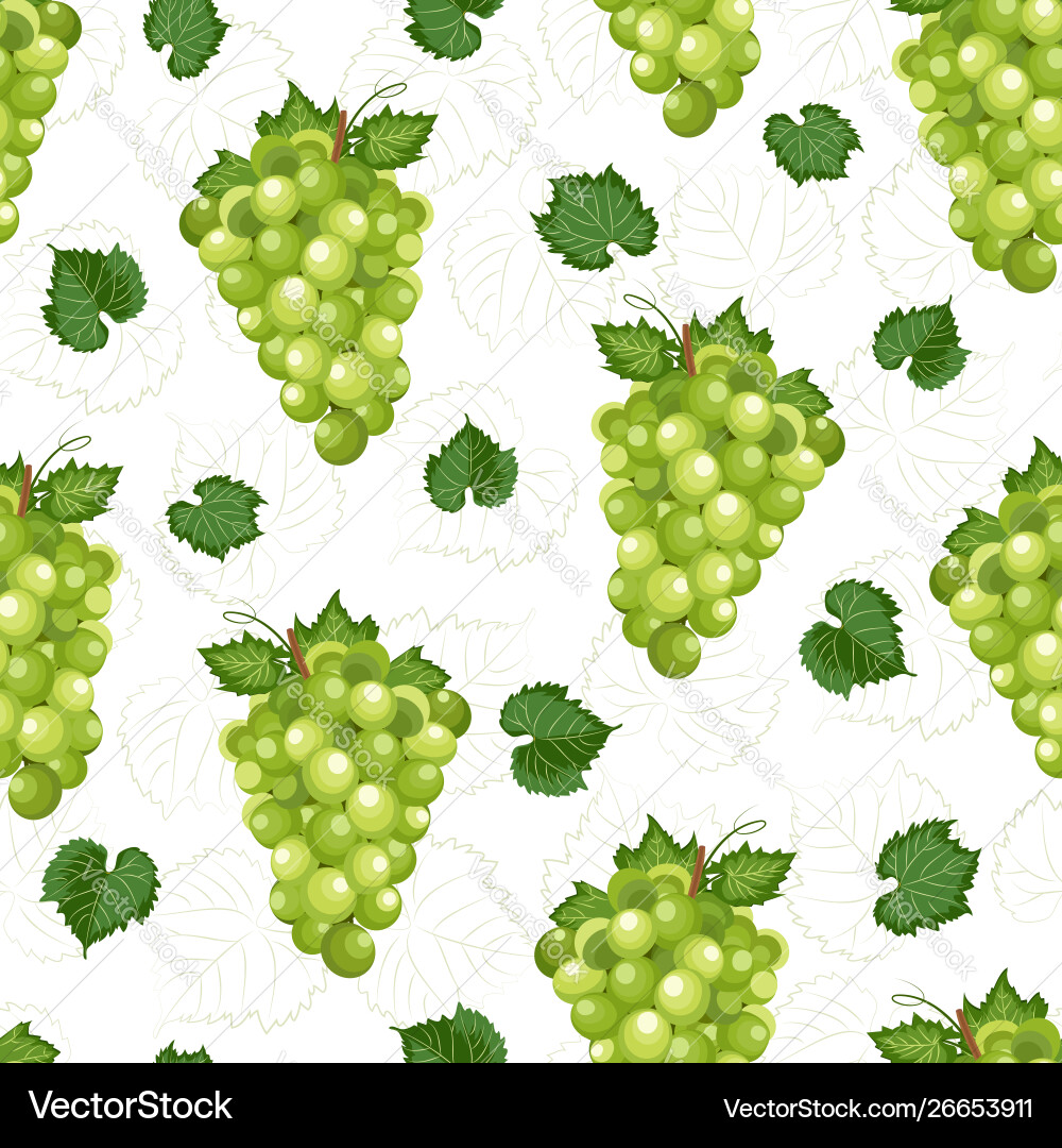 Grape Bunch Seamless Pattern vector image