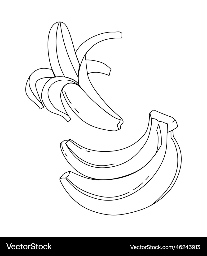 Bananas doodle coloring book for kids Bananas doodle coloring book for kids vector image