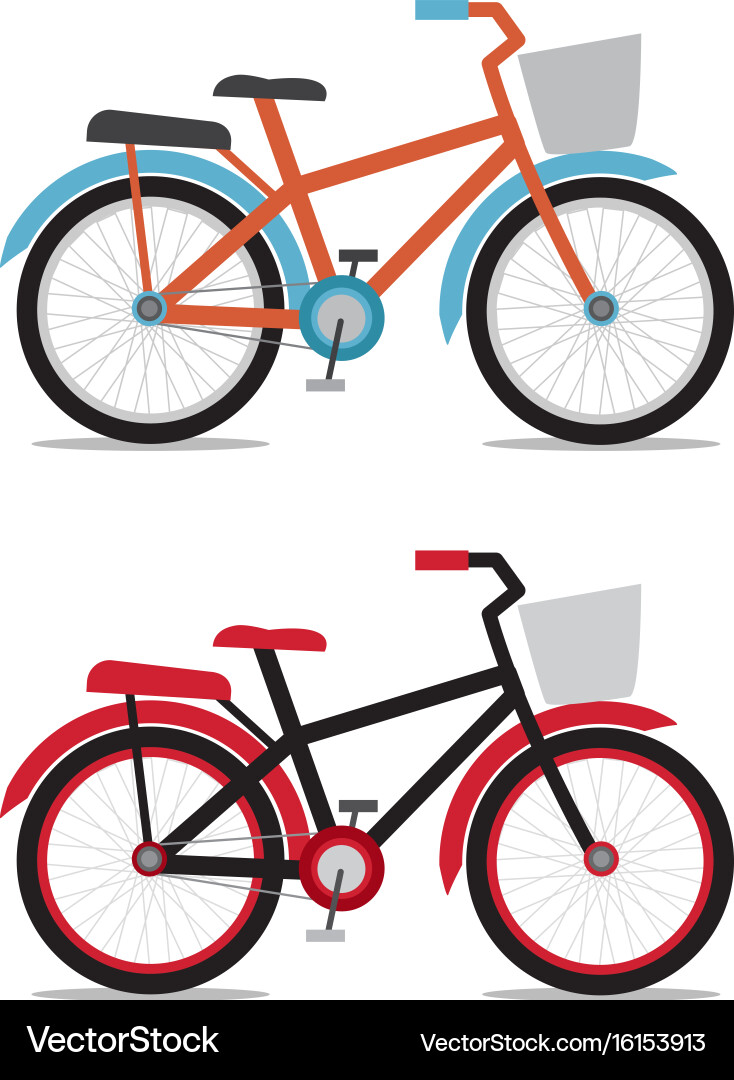 Bicycle with baskets in flat style Vector Image