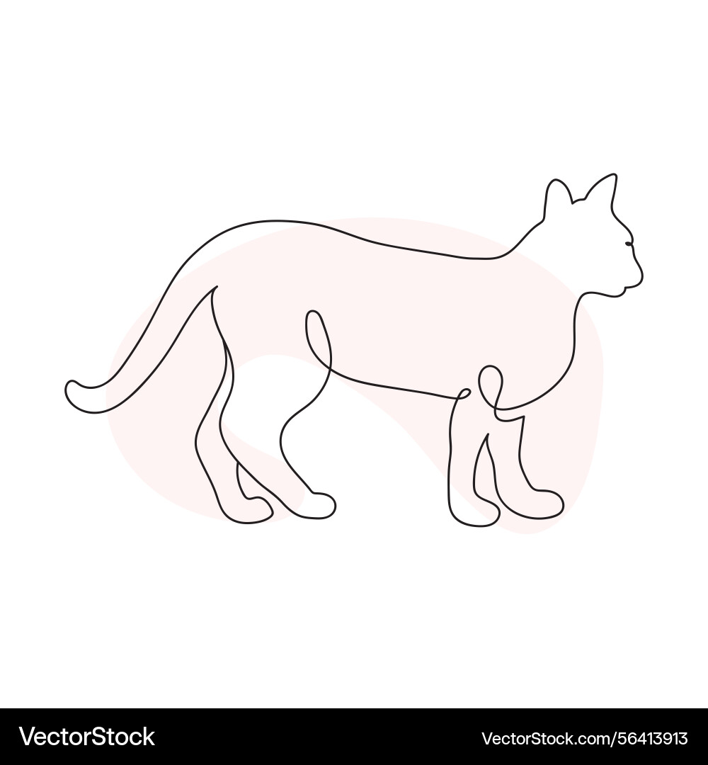 Cat walking in continuous one line drawing style vector image