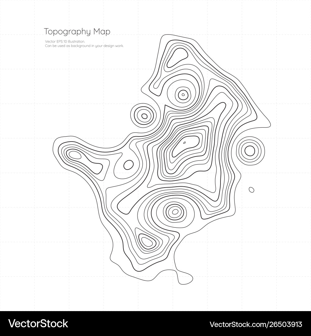 Design element topography map abstract vector image