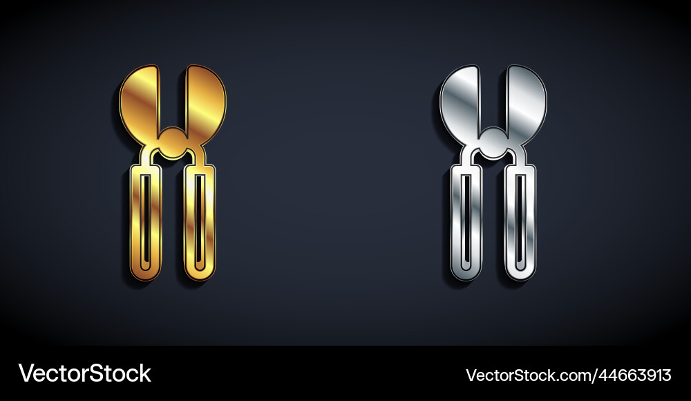 Gold and silver gardening handmade scissors Gold and silver gardening handmade scissors vector image