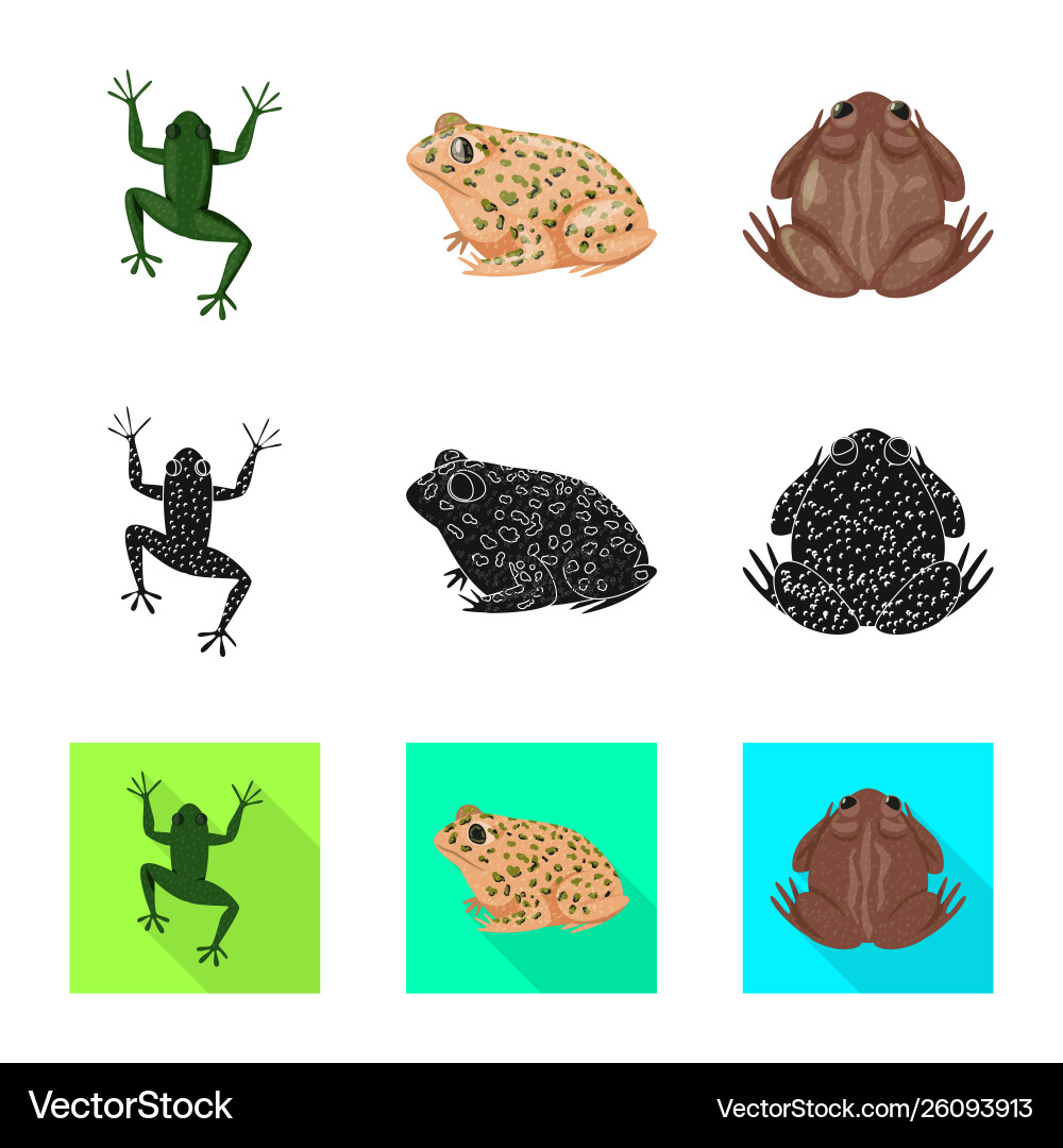 Isolated object wildlife and bog symbol set Vector Image