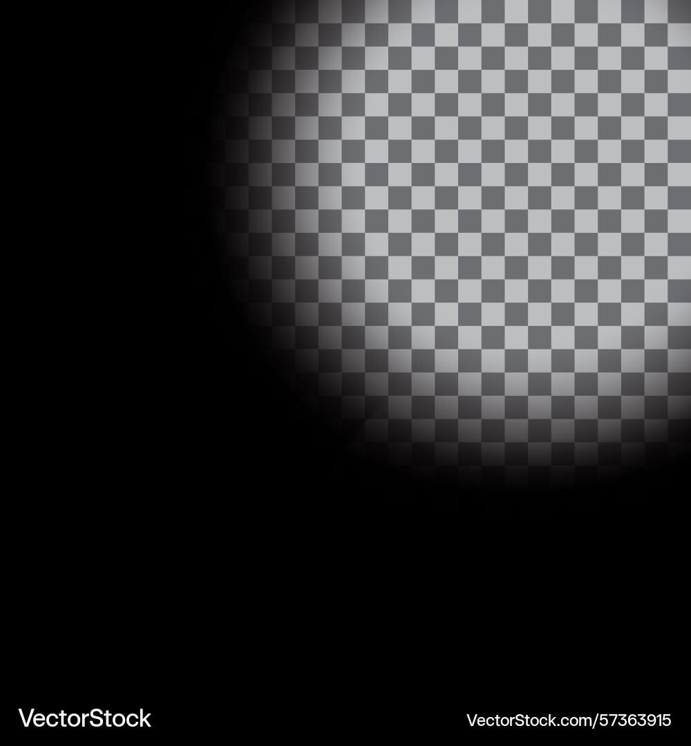 Dark circular background radial gradient pattern Vector Image
