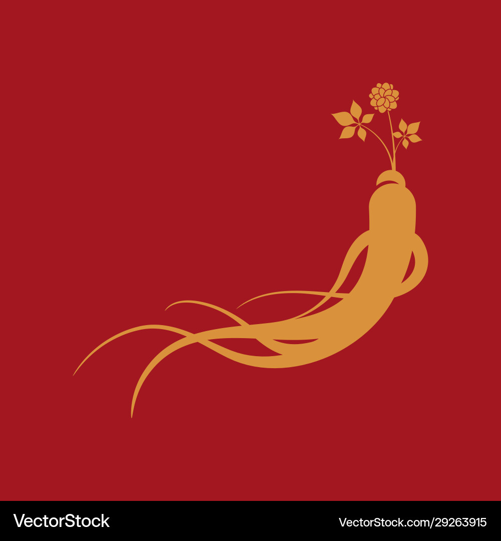 Ginseng icon vector image