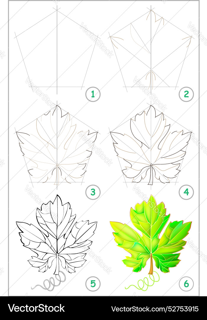 Page shows how to learn step by draw Page shows how to learn step by draw vector image