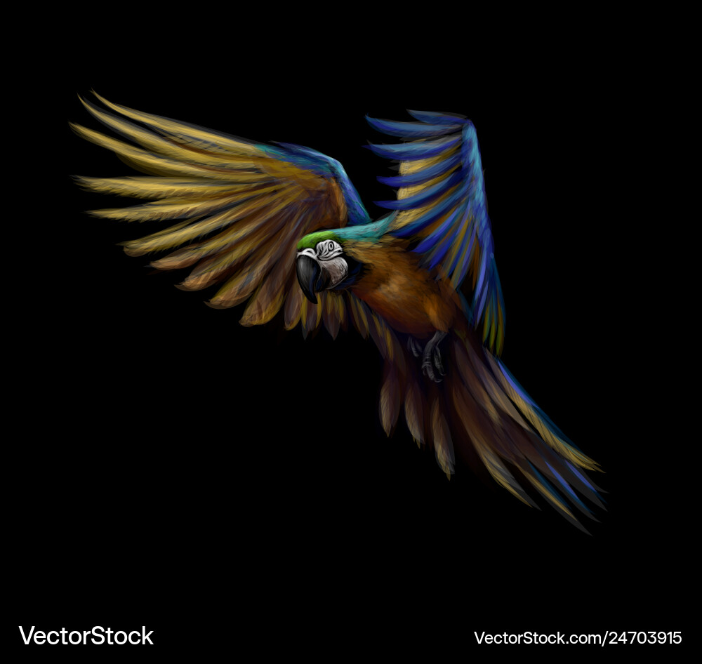 Portrait blue-and-yellow macaw in flight Portrait blue-and-yellow macaw in flight vector image
