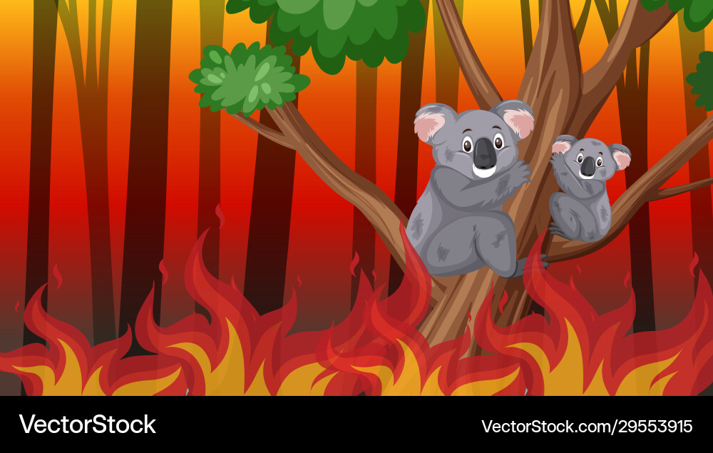 Szene mit großen Wildfeuer brennenden Bäumen und Koalas Szene mit großen Wildfeuer brennenden Bäumen und Koalas vektorbild