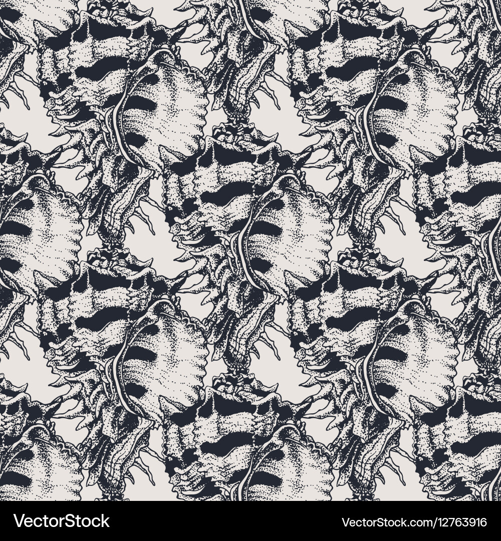 Exotic Shell Pattern - Grunge Texture vector image