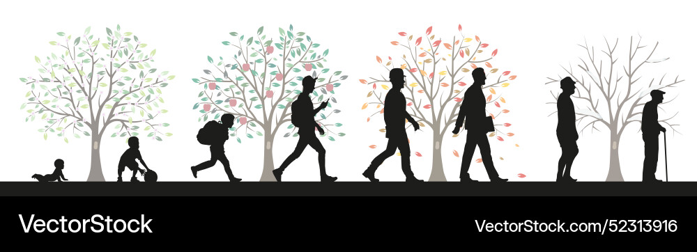 Men stages of development life from birth to old Men stages of development life from birth to old vector image