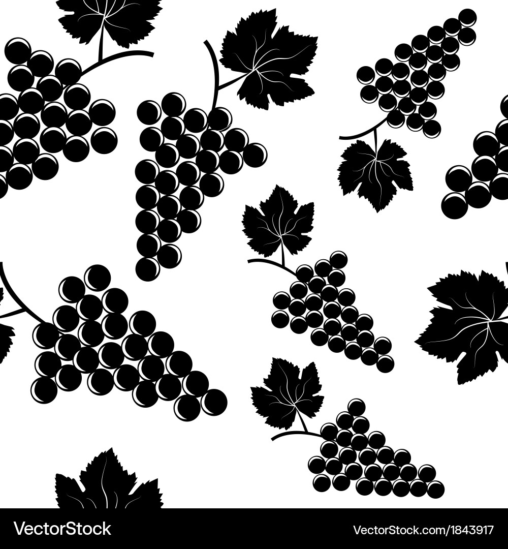 Background with grapes vector image