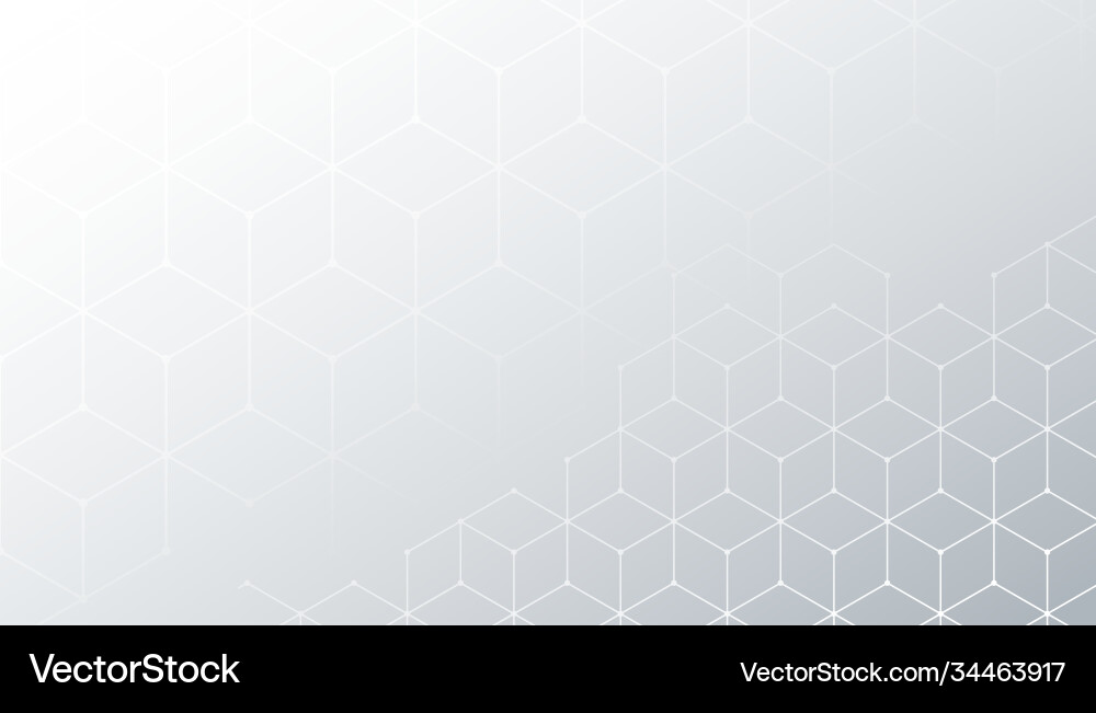 Gray Hexagonal Line Pattern Background vector image