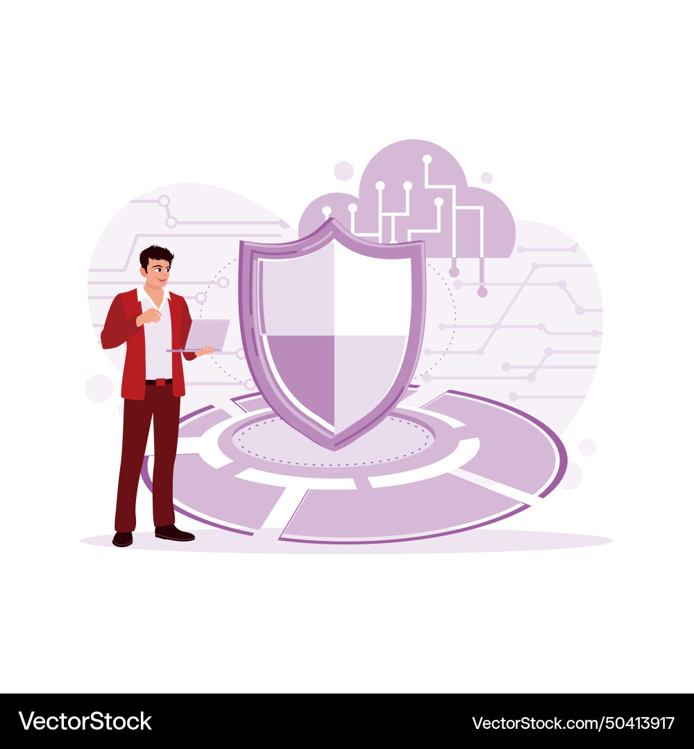 It programmer accessing business privacy cyber vector image