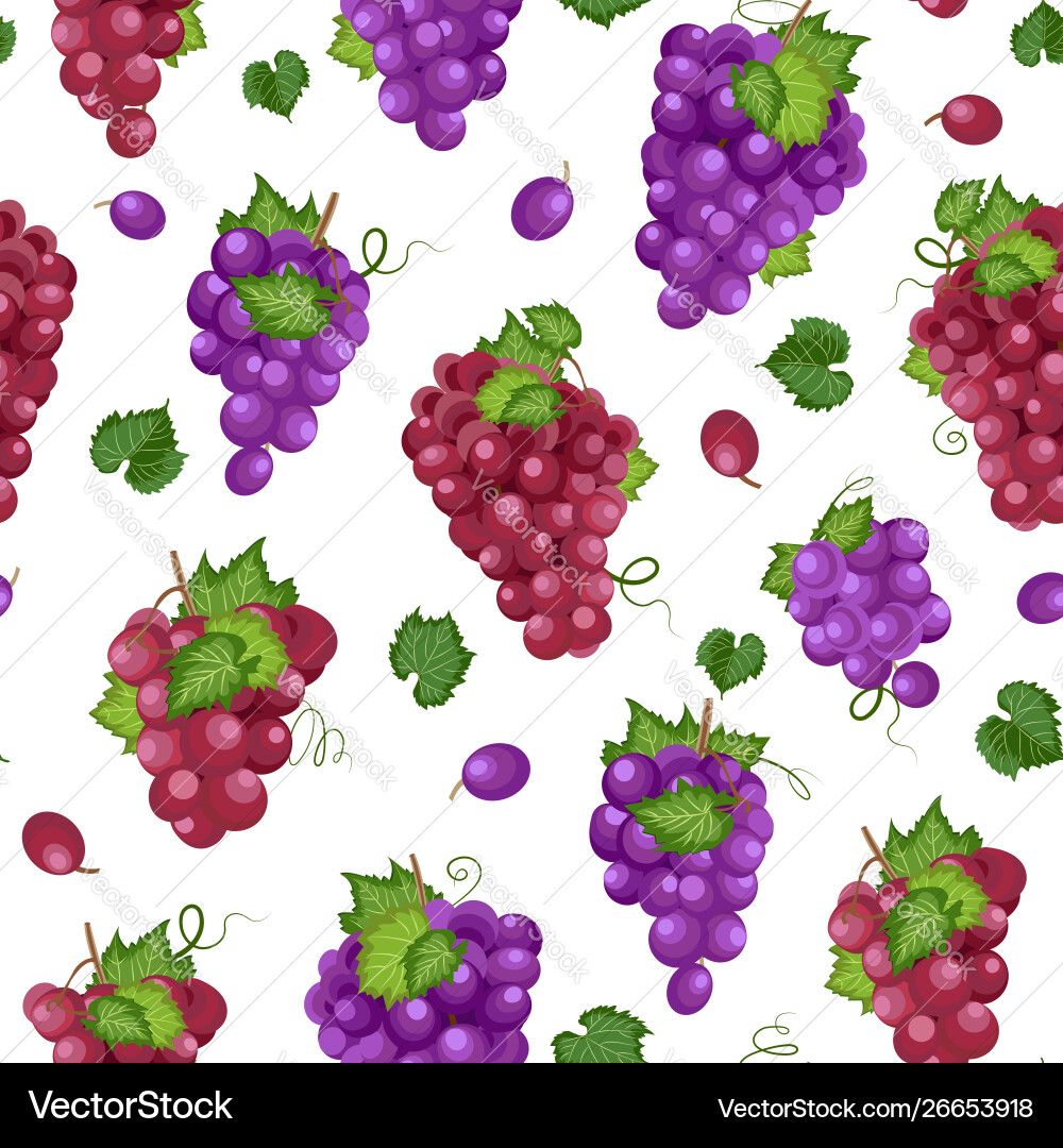 Grape Bunch Seamless Pattern vector image