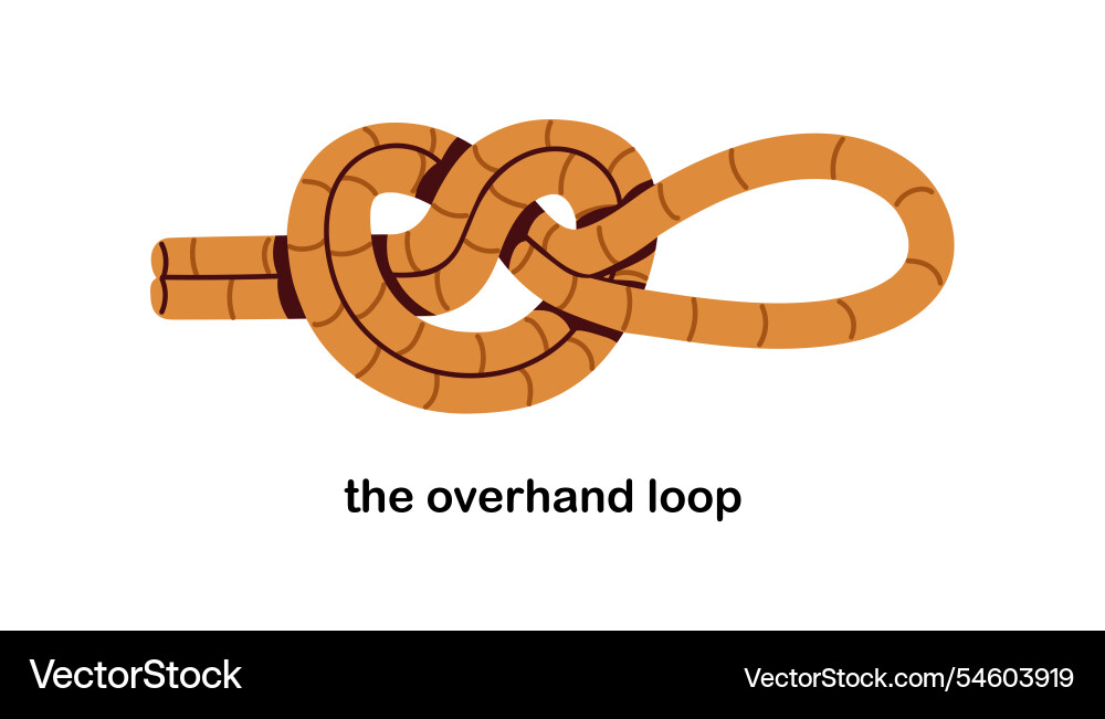 Overhand loop safe knot tied with rope simple Overhand loop safe knot tied with rope simple vector image
