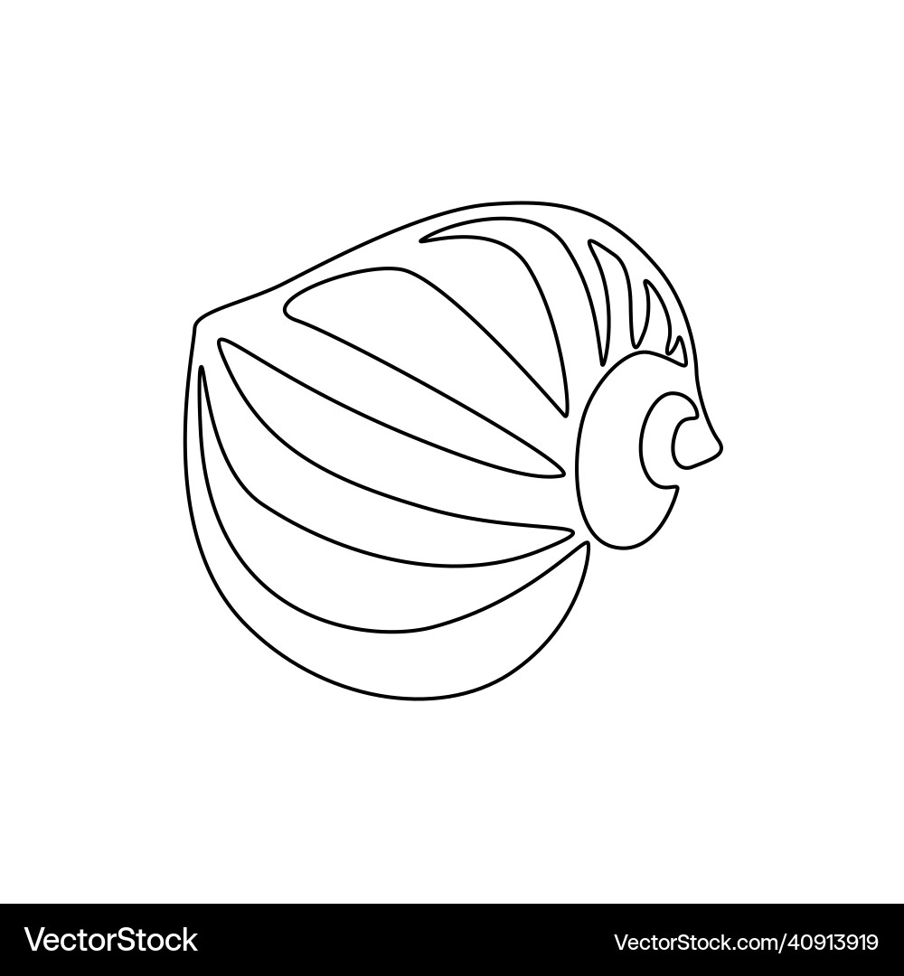 Sea snail shell continuous one line drawing Sea snail shell continuous one line drawing vector image