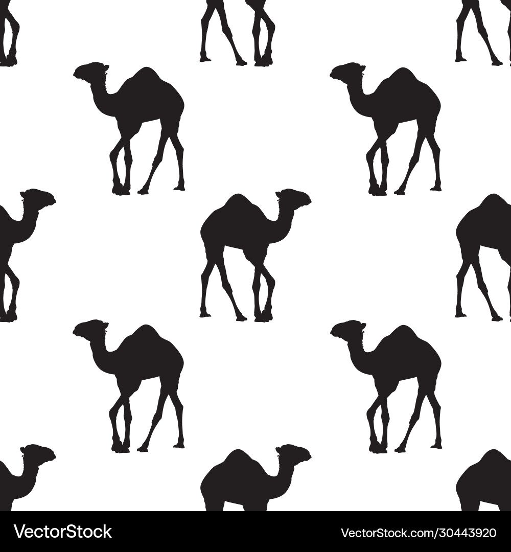 Seamless pattern with black camel Seamless pattern with black camel Vector Image