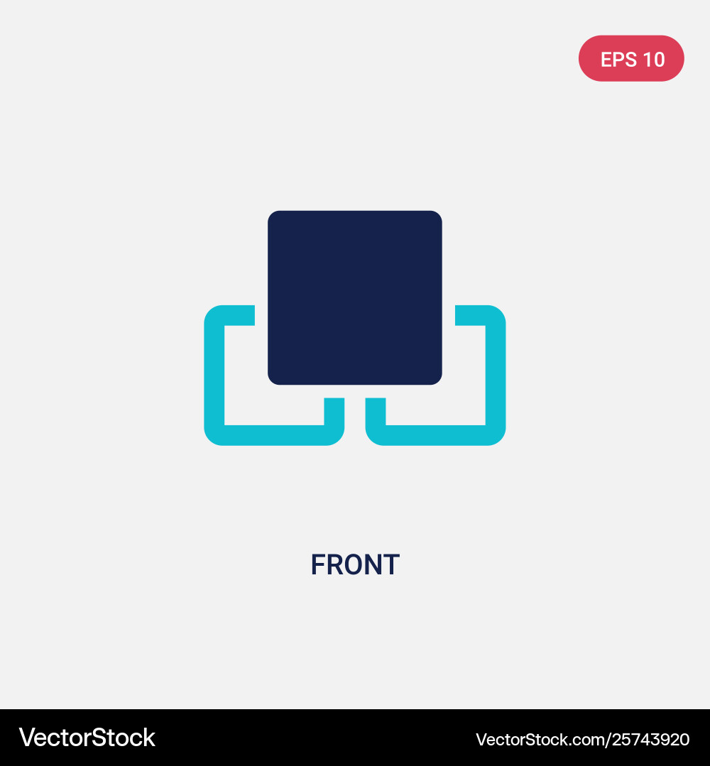 Two color front icon from geometry concept vector image
