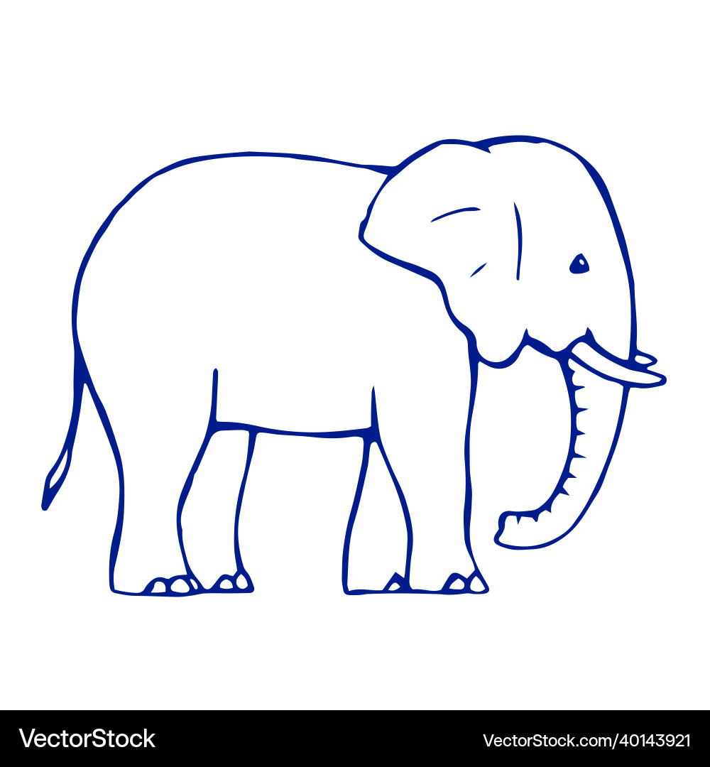 Drawing of a baby elephant on white background Drawing of a baby elephant on white background vector image