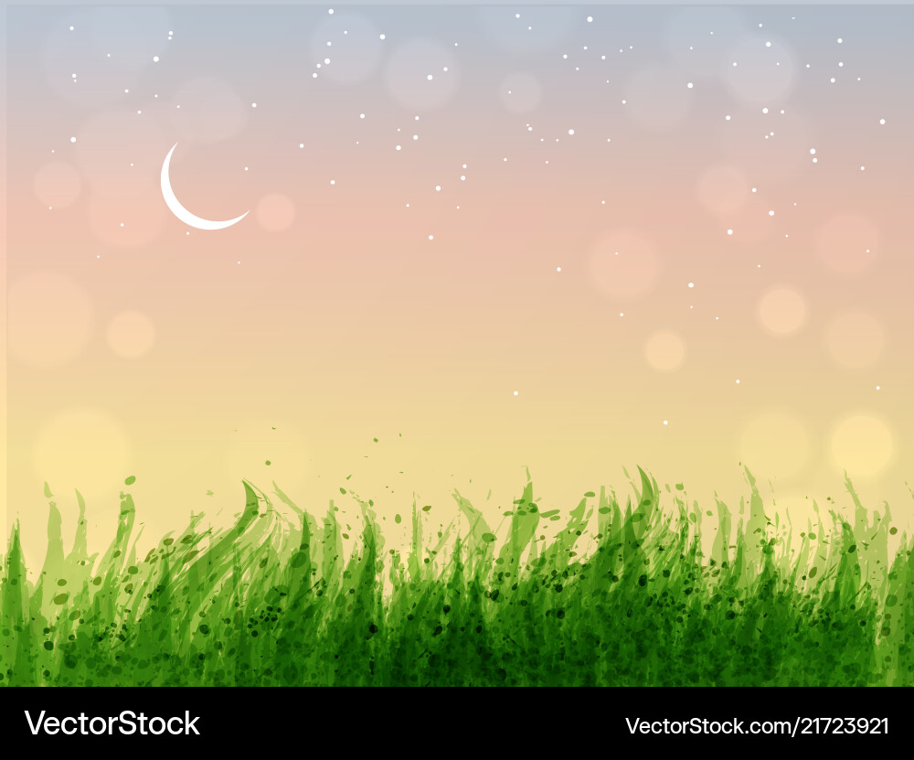 Leaves of grass and stars in sunrise sky Leaves of grass and stars in sunrise sky vector image