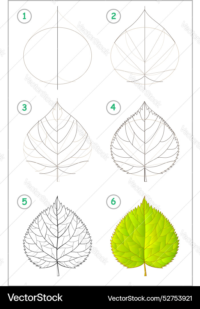 Page shows how to learn step by draw Page shows how to learn step by draw vector image