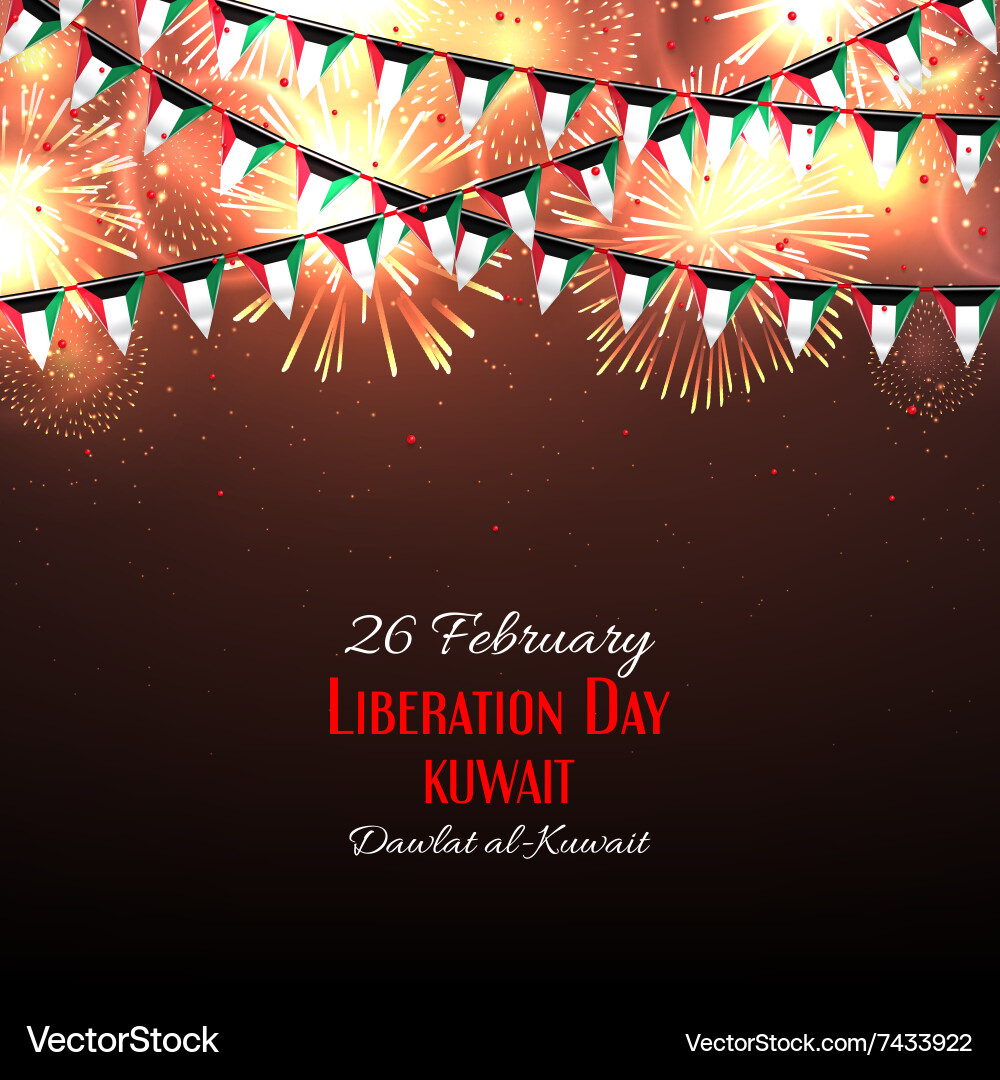 Background with fireworks vector image