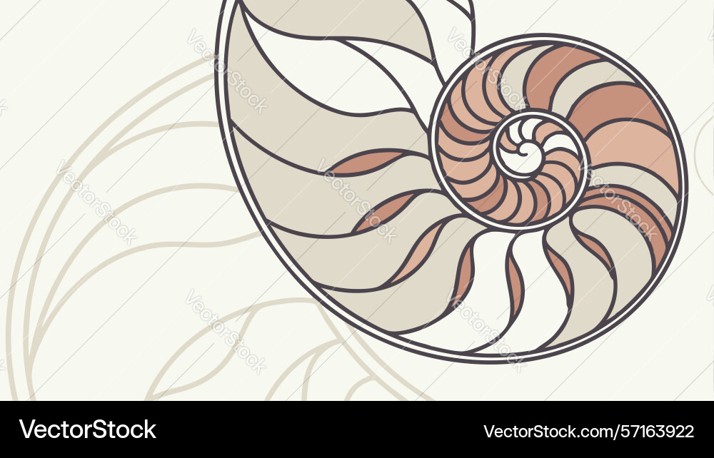 Intricate nautilus shell cross-section design vector image