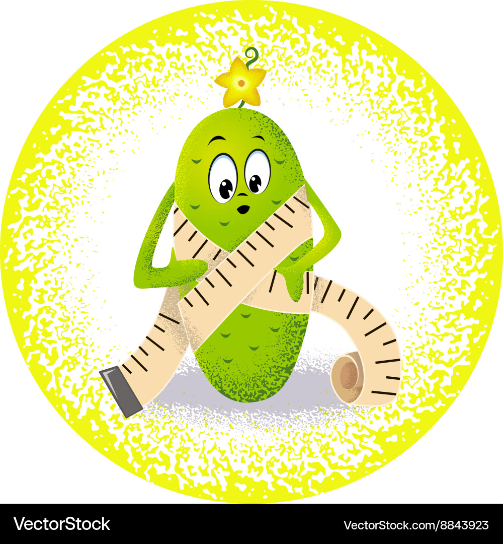 Cucumber with measuring tape vector image