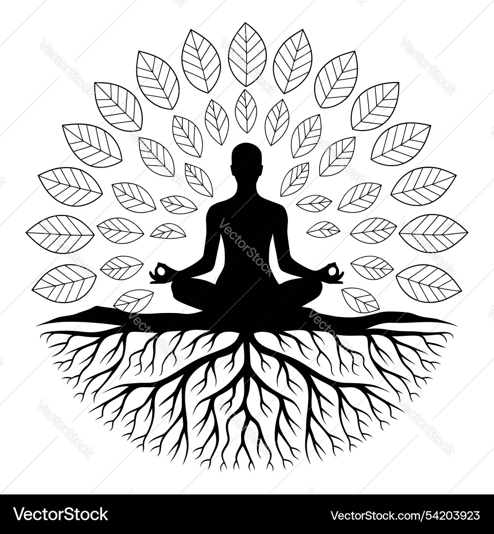 Meditation silhouette with tree roots and leaves Vector Image