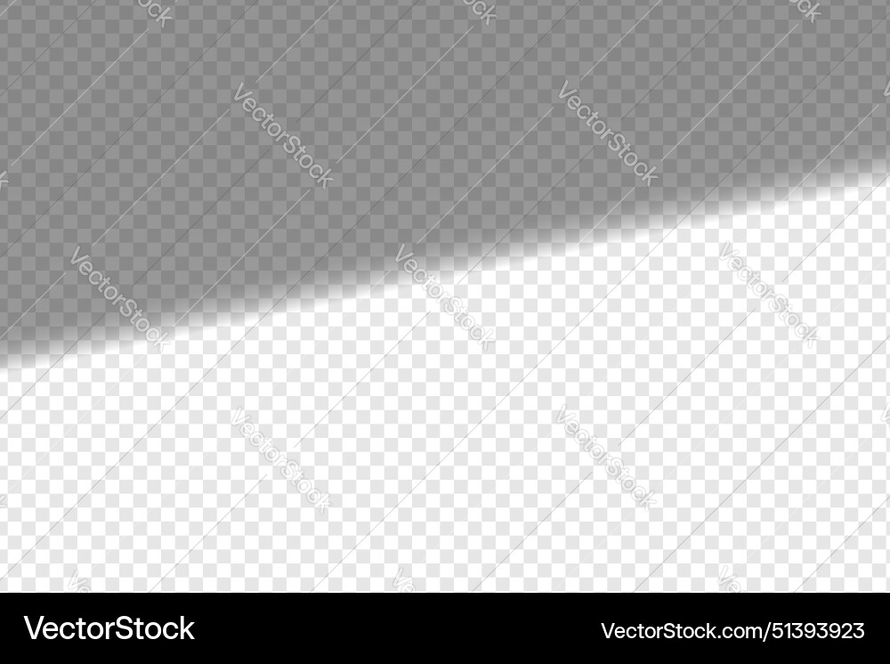 Shadow overlay effect soft realistic Shadow overlay effect soft realistic vector image