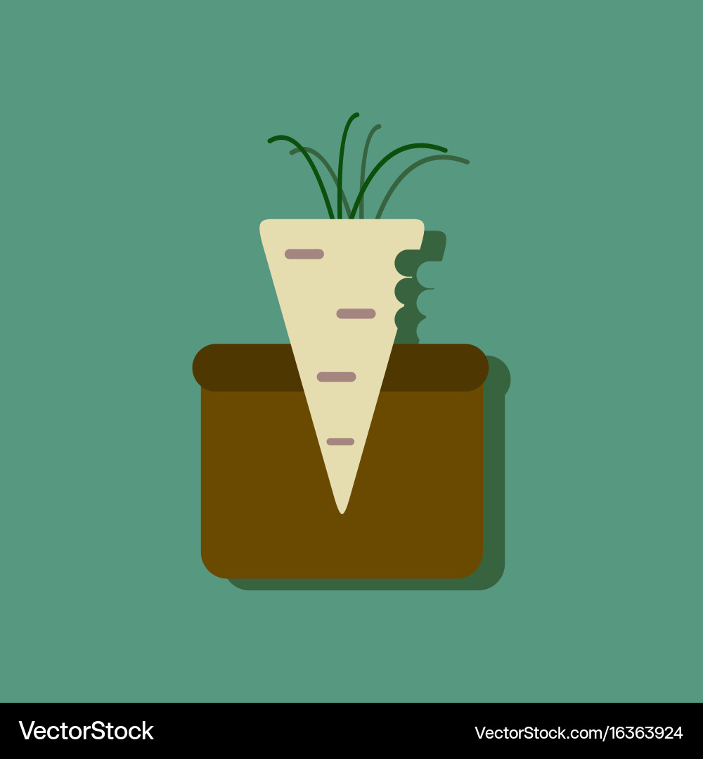 Flat icon design collection turnip in soil Vector Image